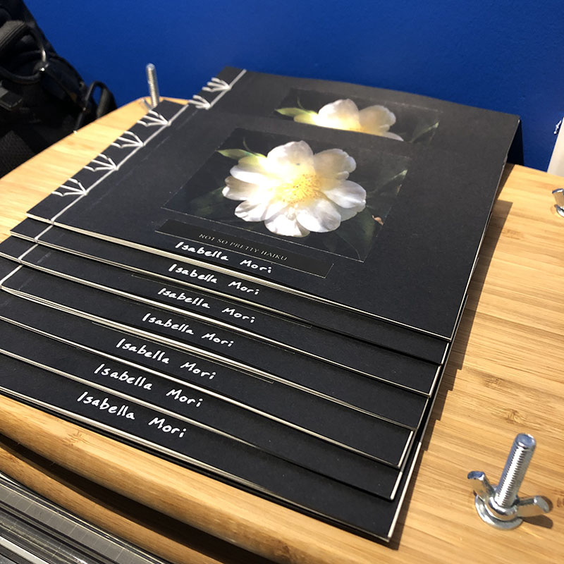 Not So Pretty Haiku - completed books