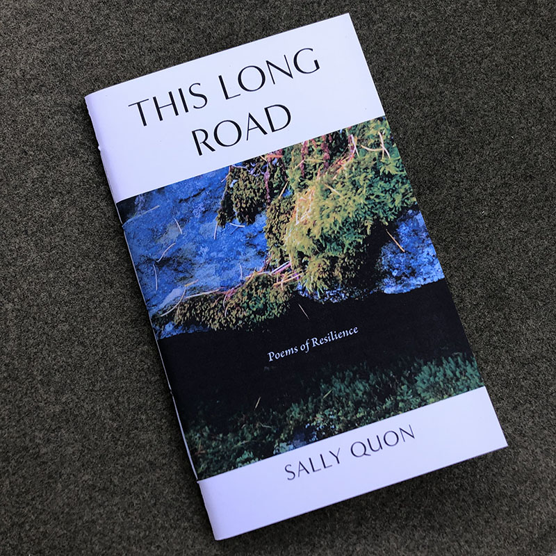 This Long Road cover