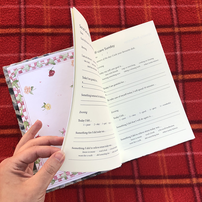 Casebound Glossy Silver Gratitude Journal - open