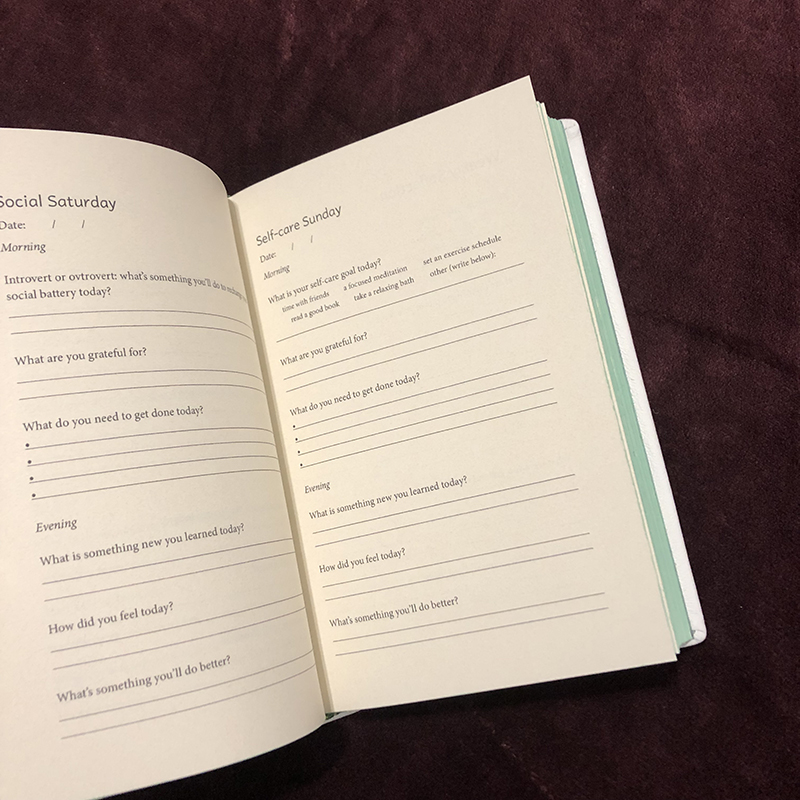 Leatherbound White Leather Reflection Journal - open