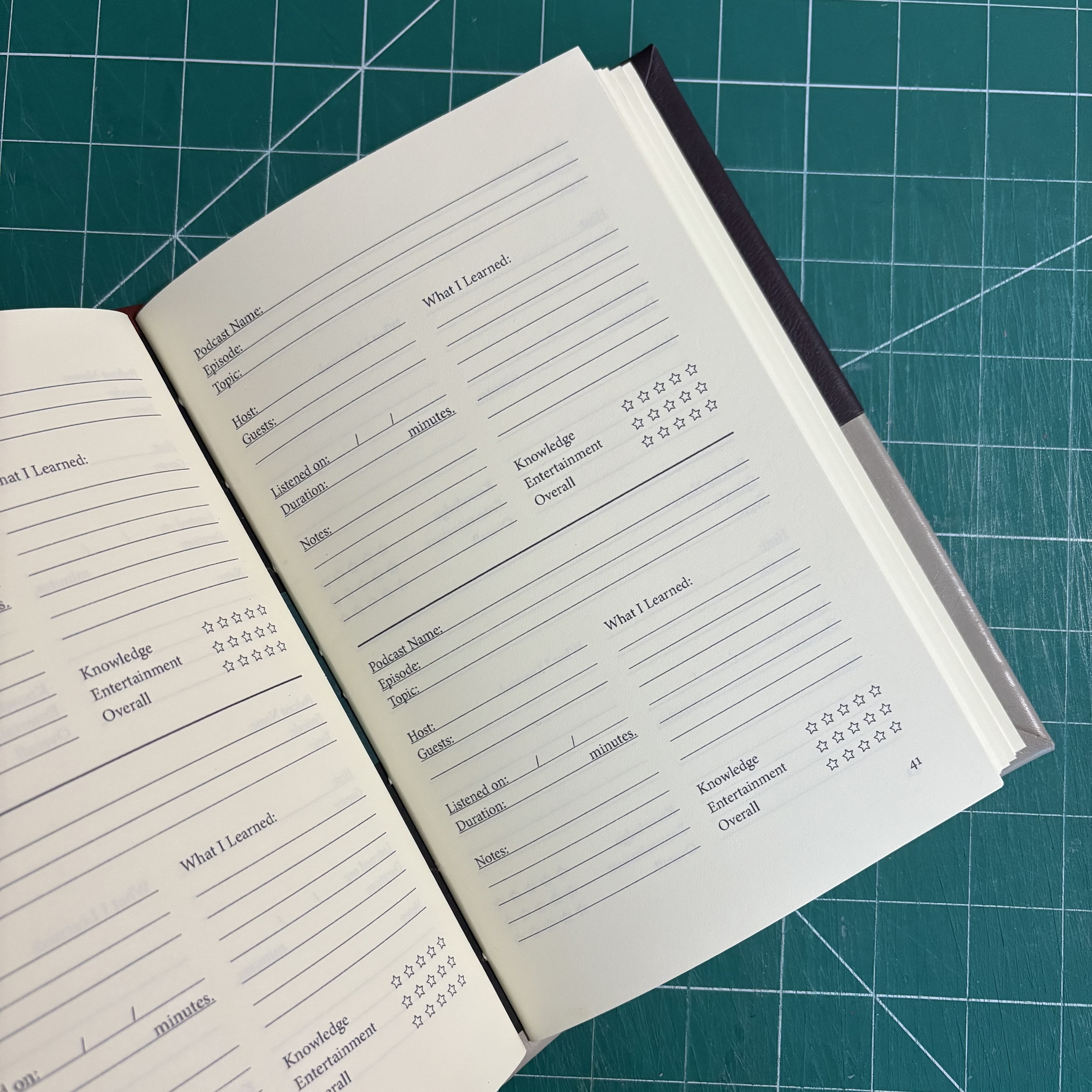 Longstitch Four Leather Podcast Journal - open