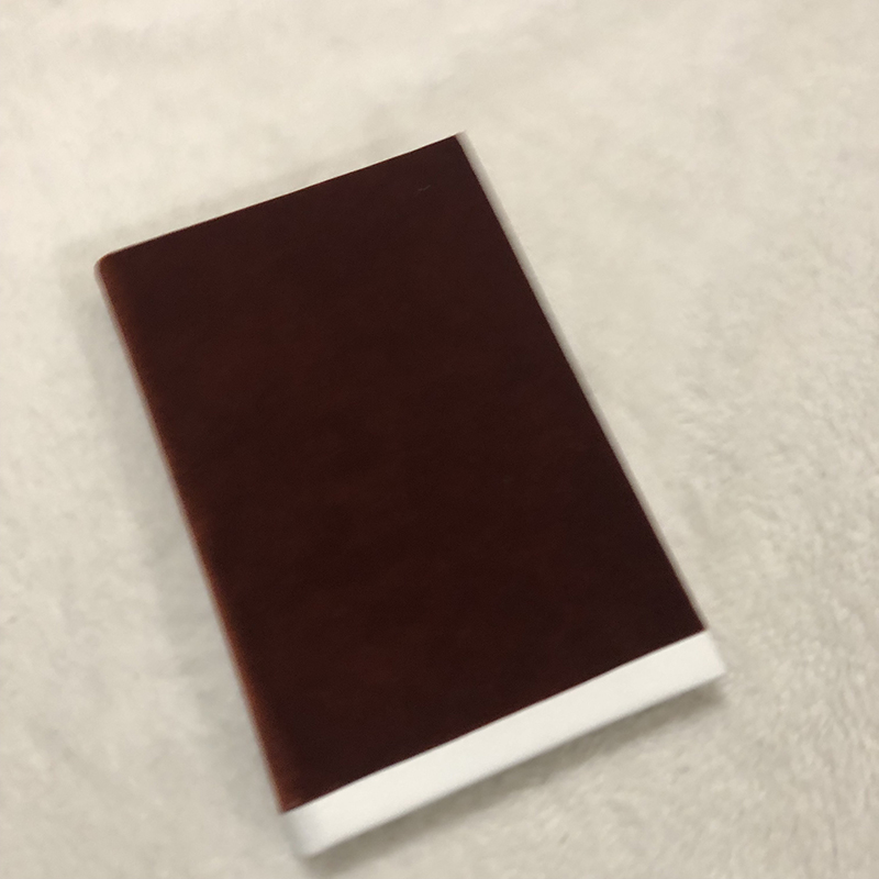 Casebound Velvet Reading Journal