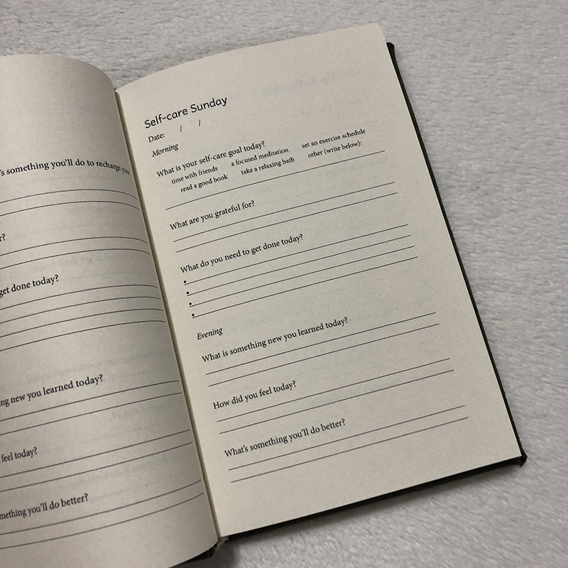 Casebound Suede Reflection Journal - open