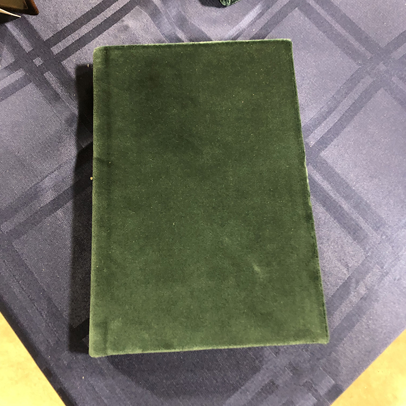 Casebound Velvet Reflection Journal