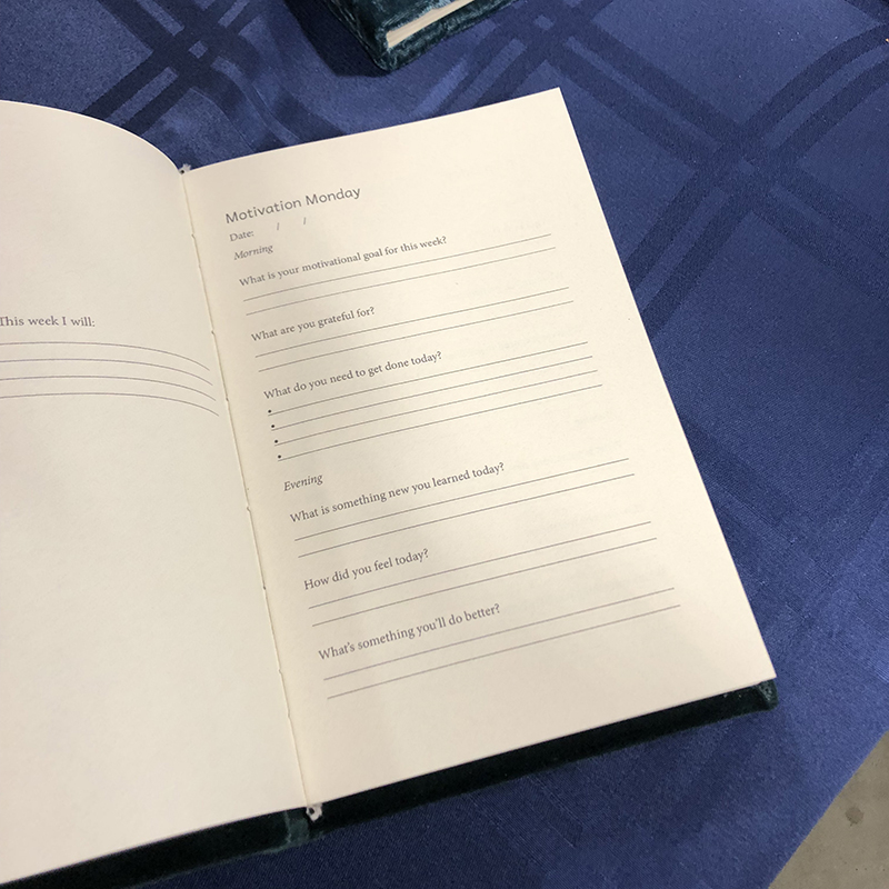 Casebound Velvet Reflection Journal - open