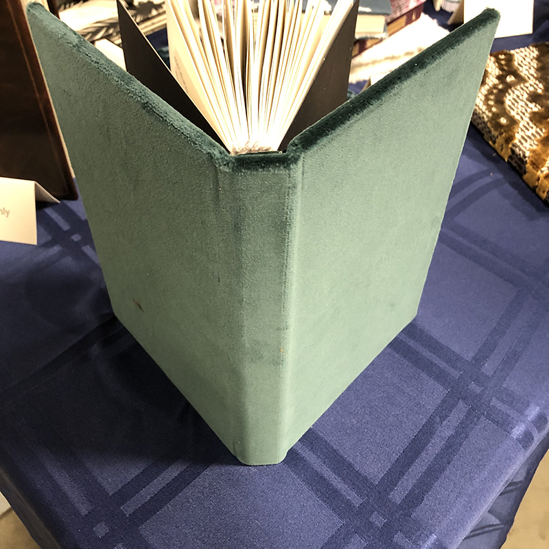 Casebound Velvet Reflection Journal - spine