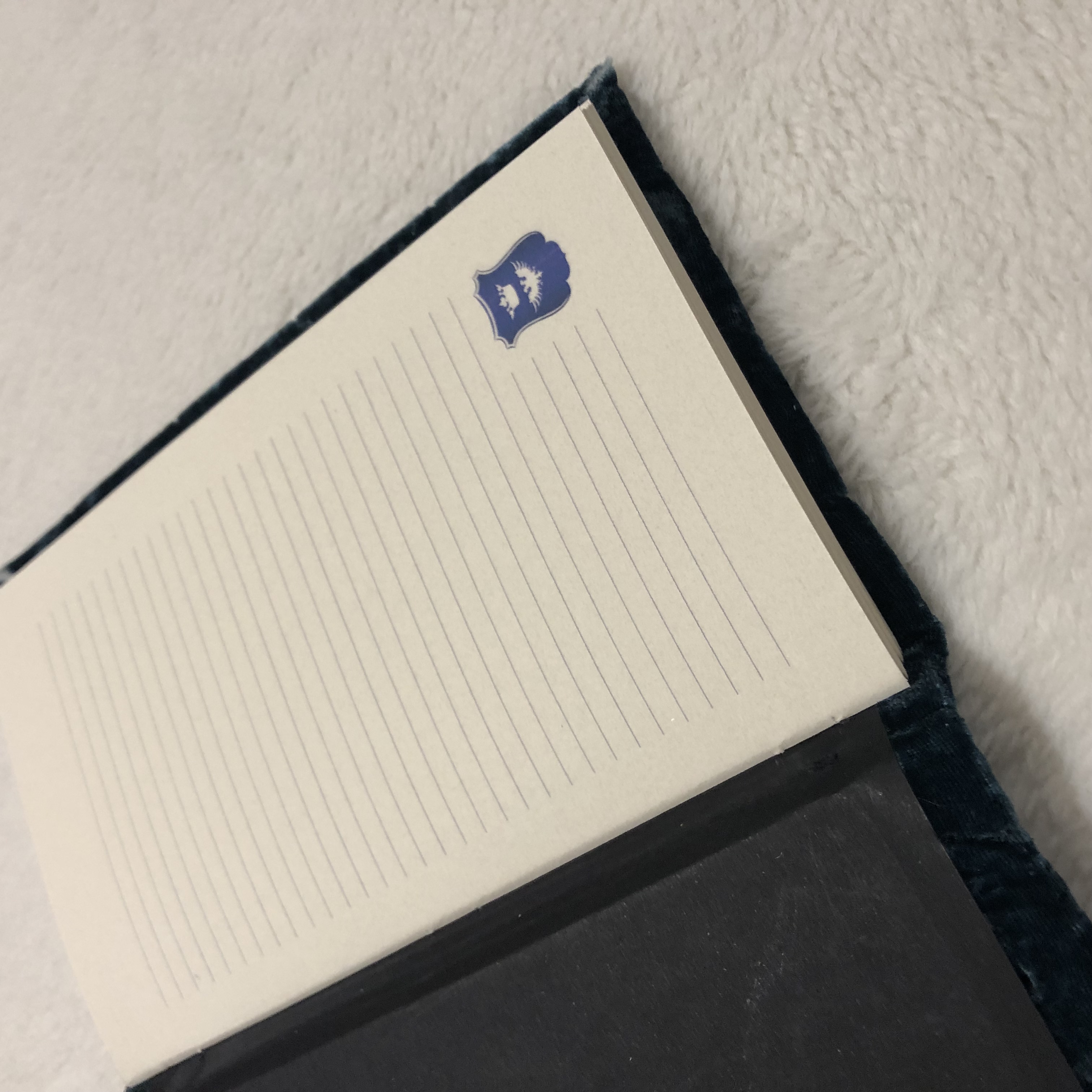 Longstitch Velour Eagle Crest Notebook - open