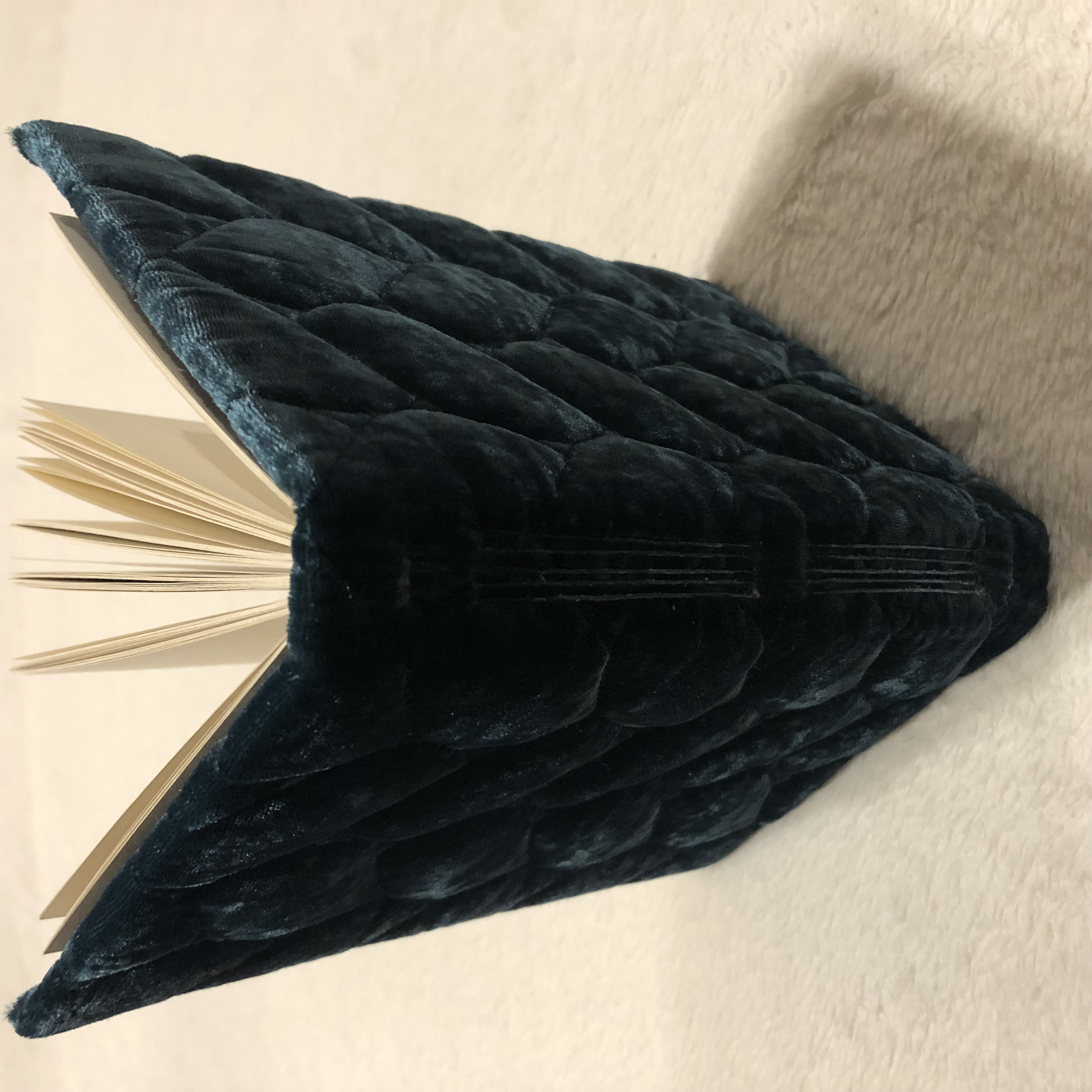 Longstitch Velour Eagle Crest Notebook - spine