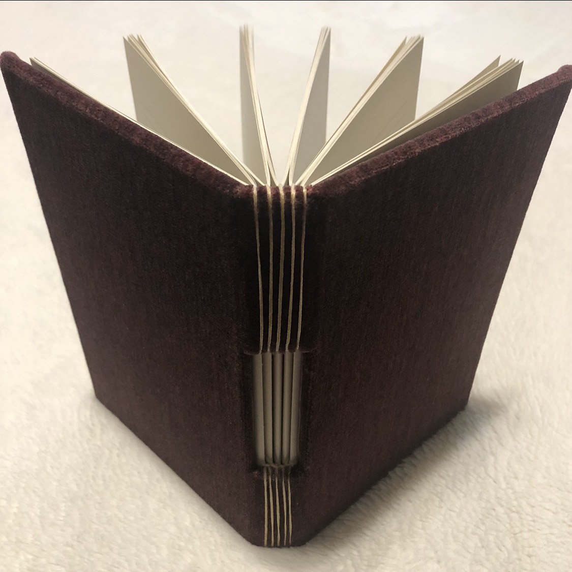 Buttonhole Red Birds Notebook - spine