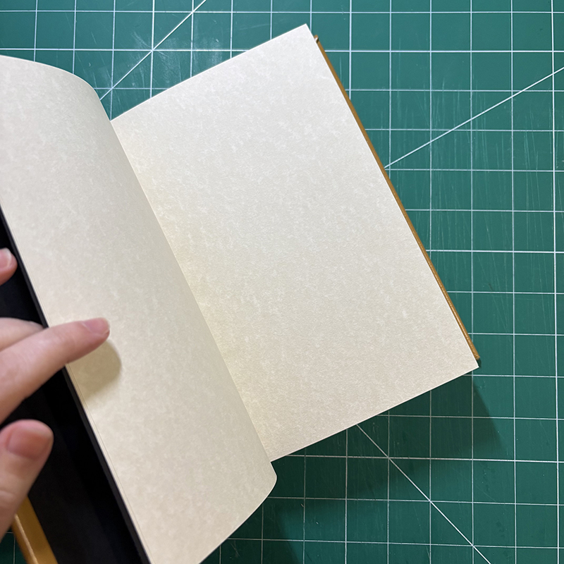 Casebound Caramel Leather Notebook - open