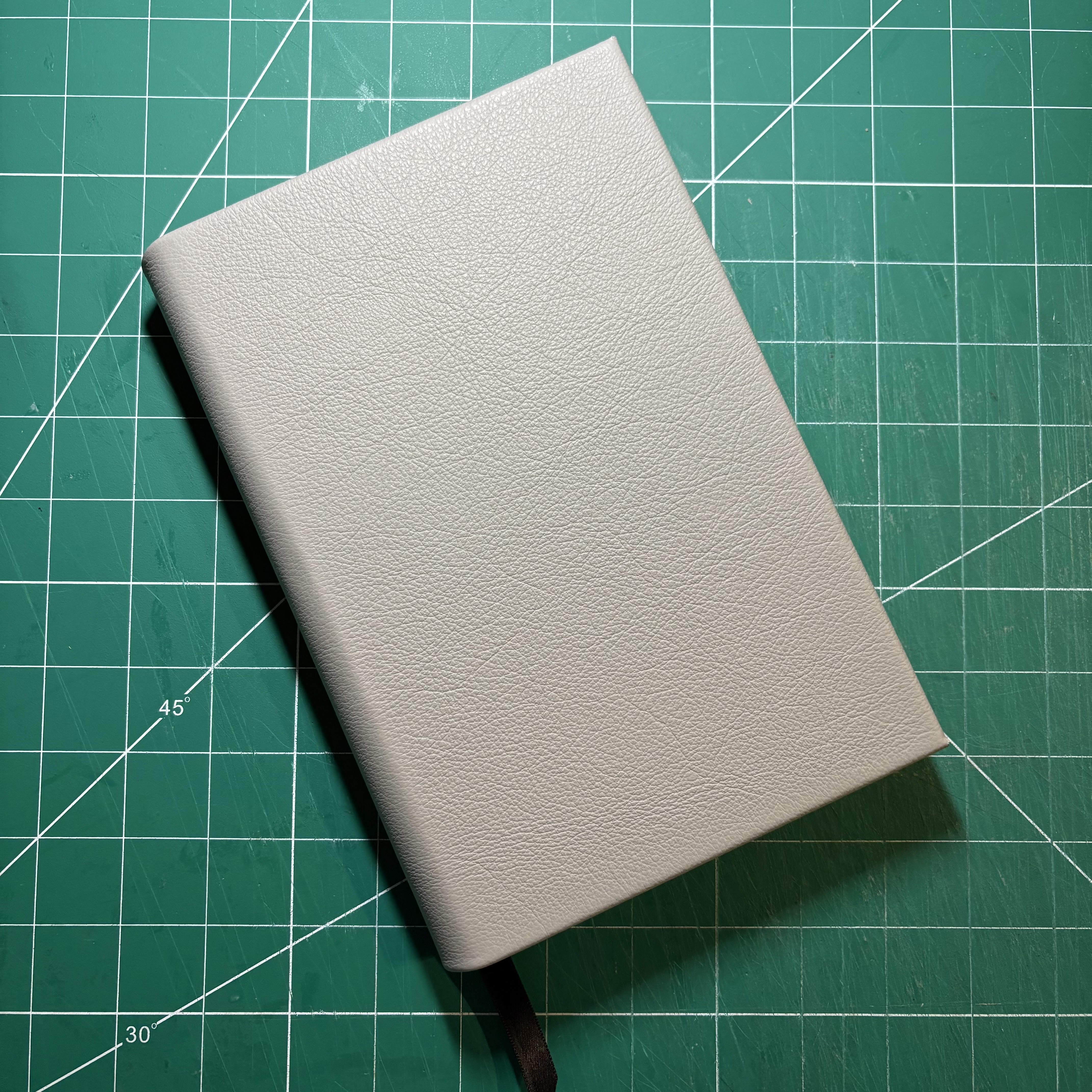 Casebound Grey Leather Dotted Notebook