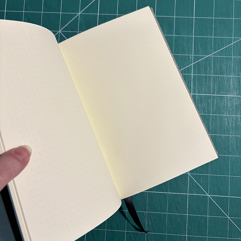 Casebound Grey Stripe Dotted Notebook - open