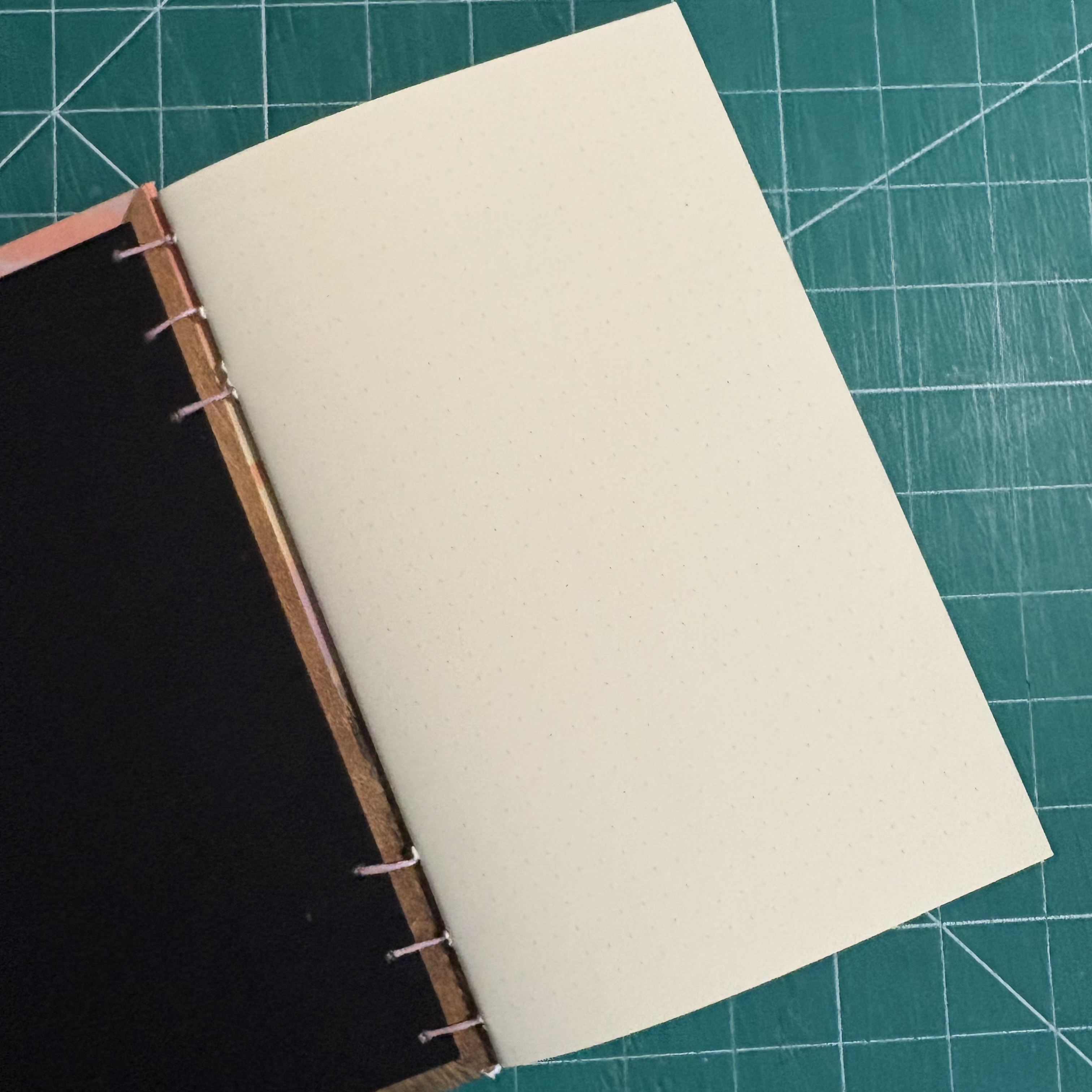 Coptic Horse Sunset Dotted Notebook - open