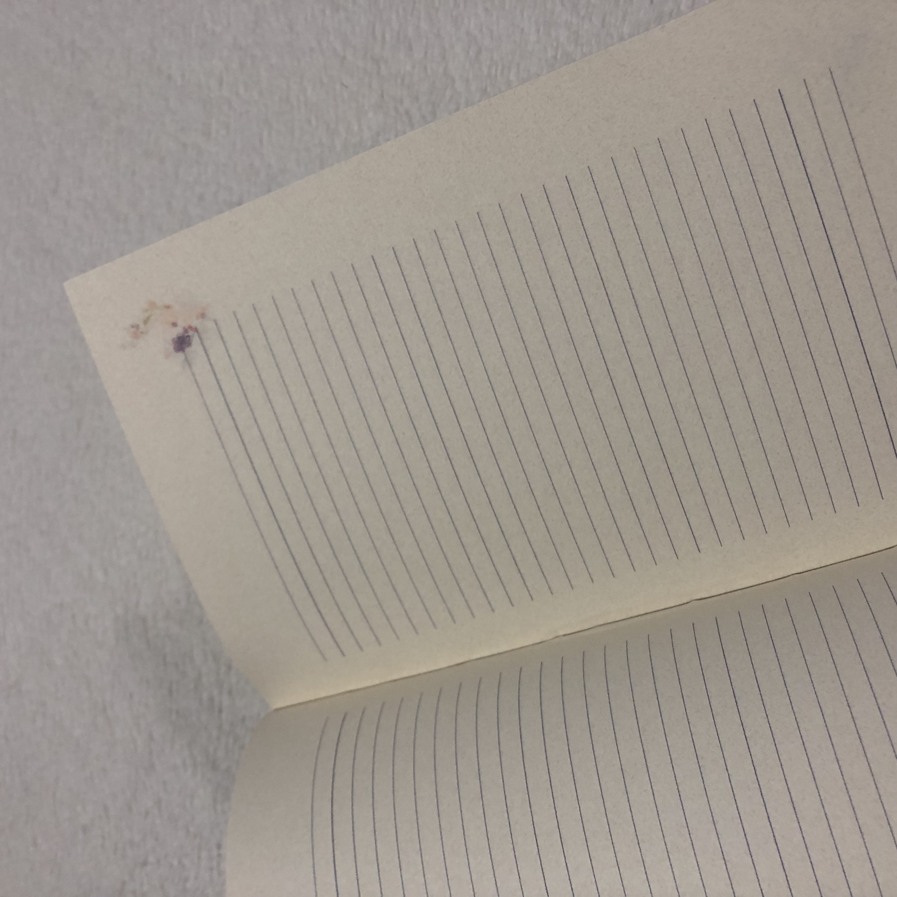 Leatherbound Grey Tome Notebook - open