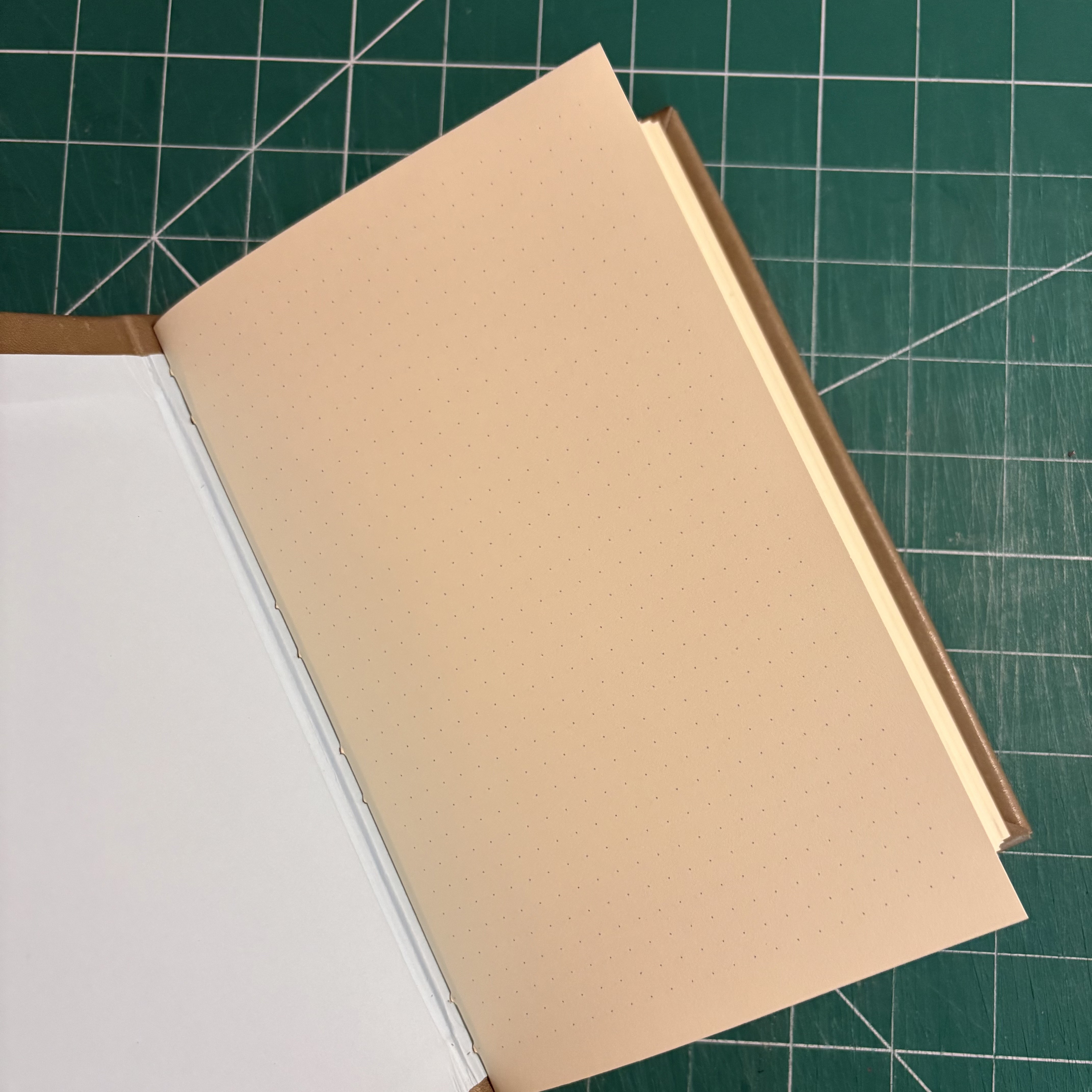 Longstitch Leather Rainbow Notebook - open