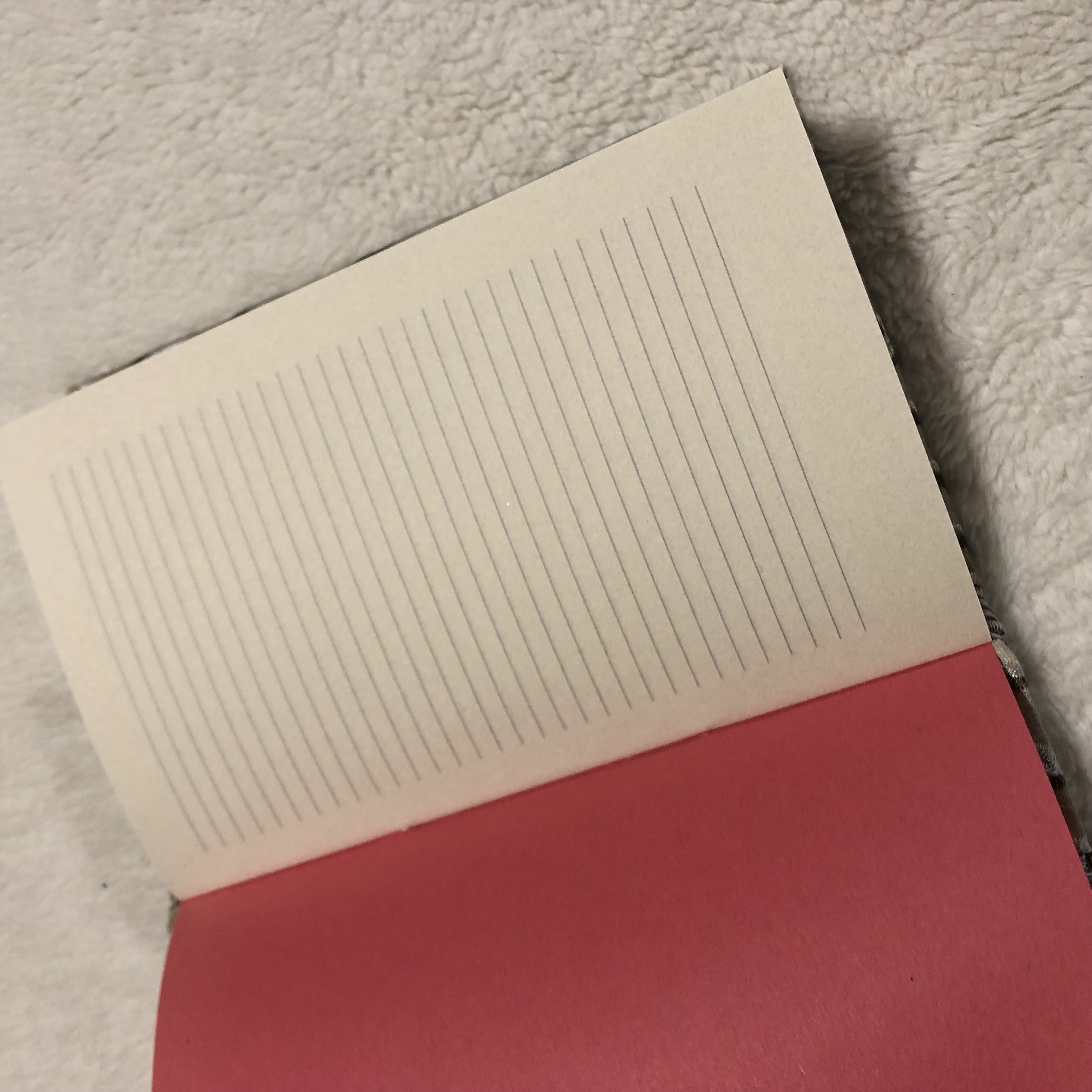 Buttonhole Rainbow Silver Notebook - open