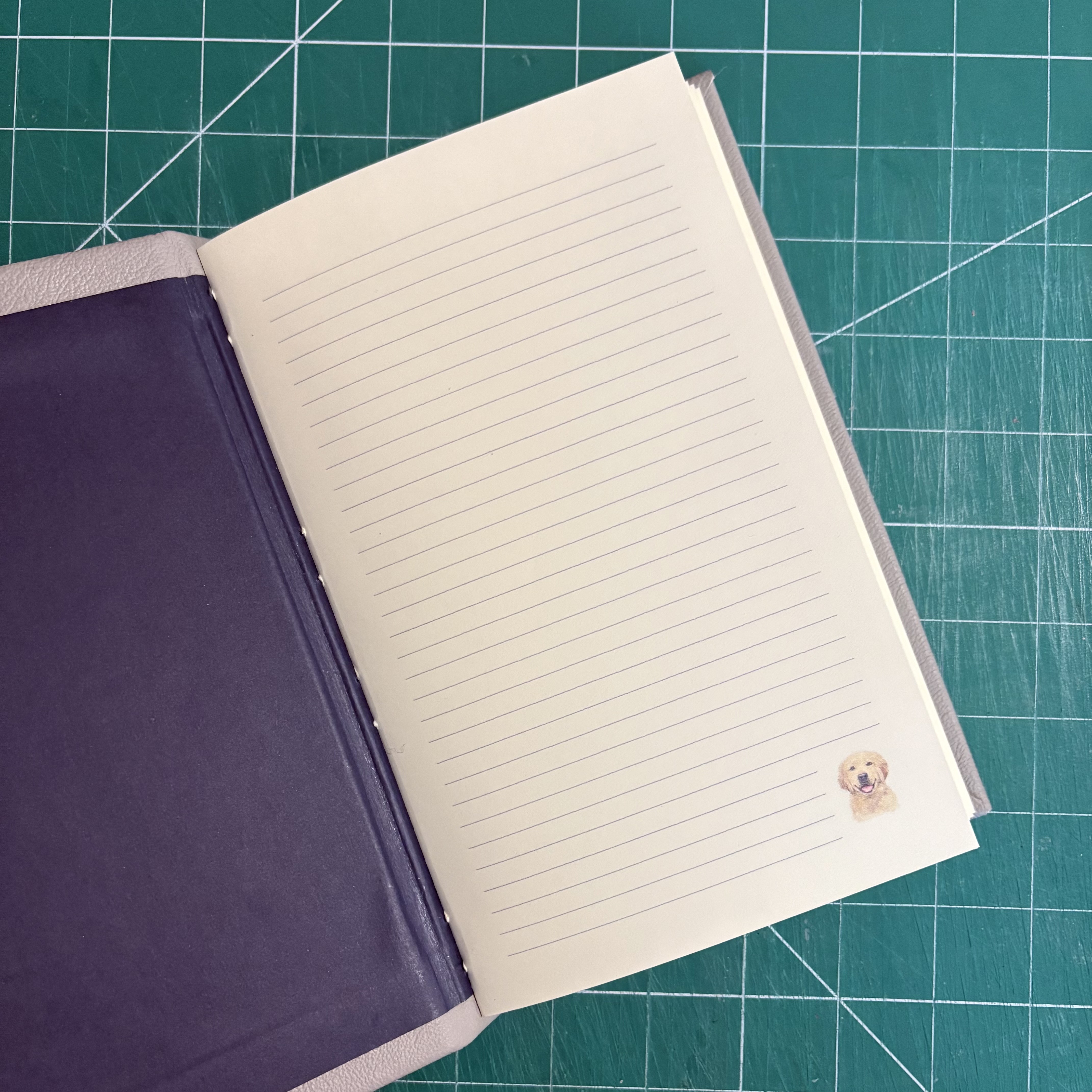 Longstitch Grey Leather Retriever Notebook - open