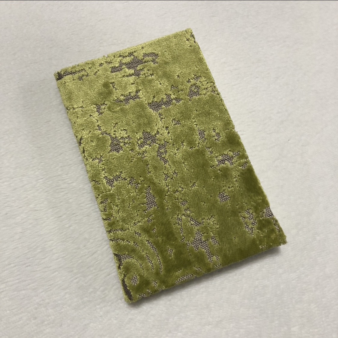 Casebound Green Snake Notebook