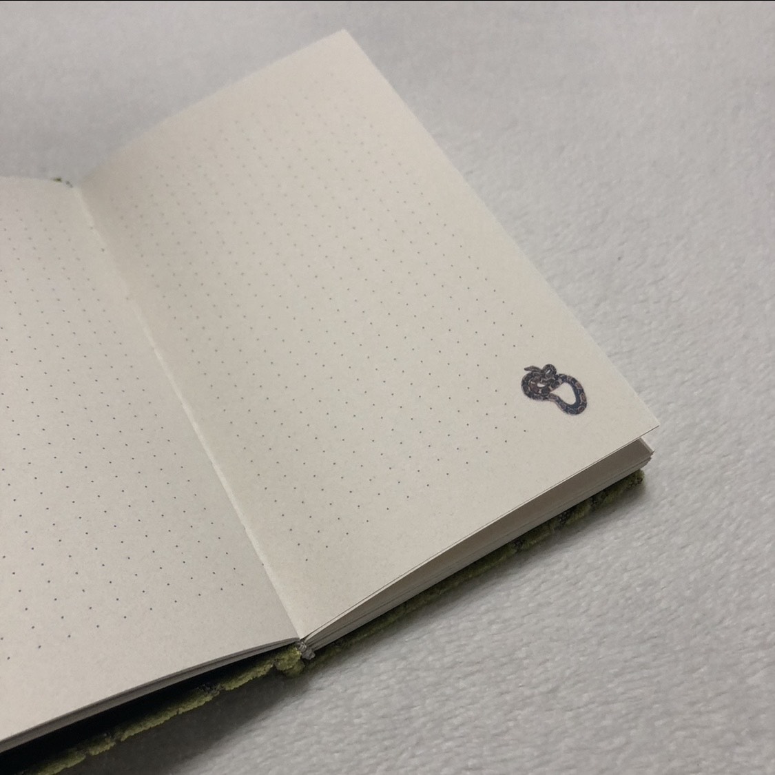 Casebound Green Snake Notebook - open