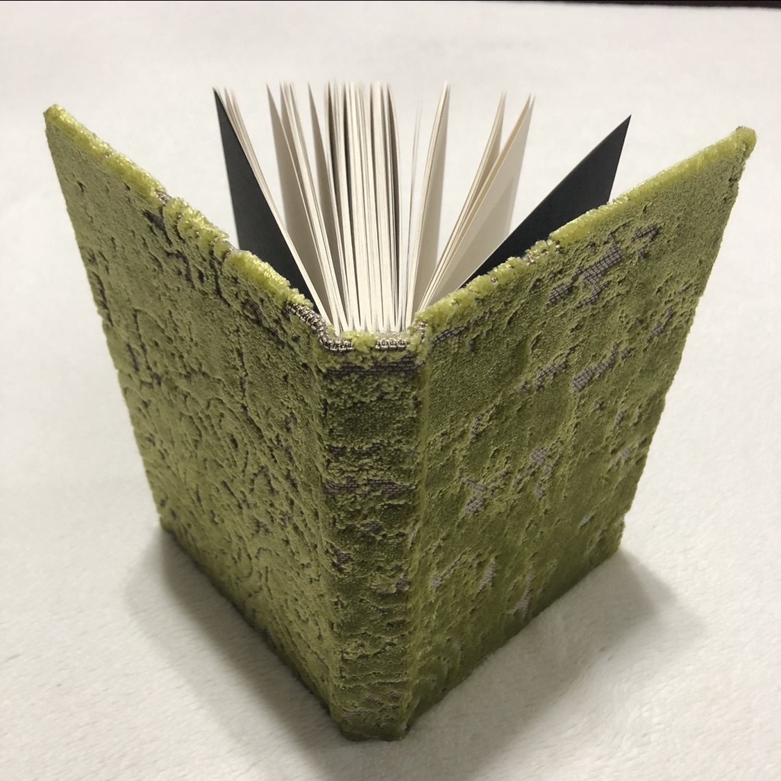 Casebound Green Snake Notebook - spine