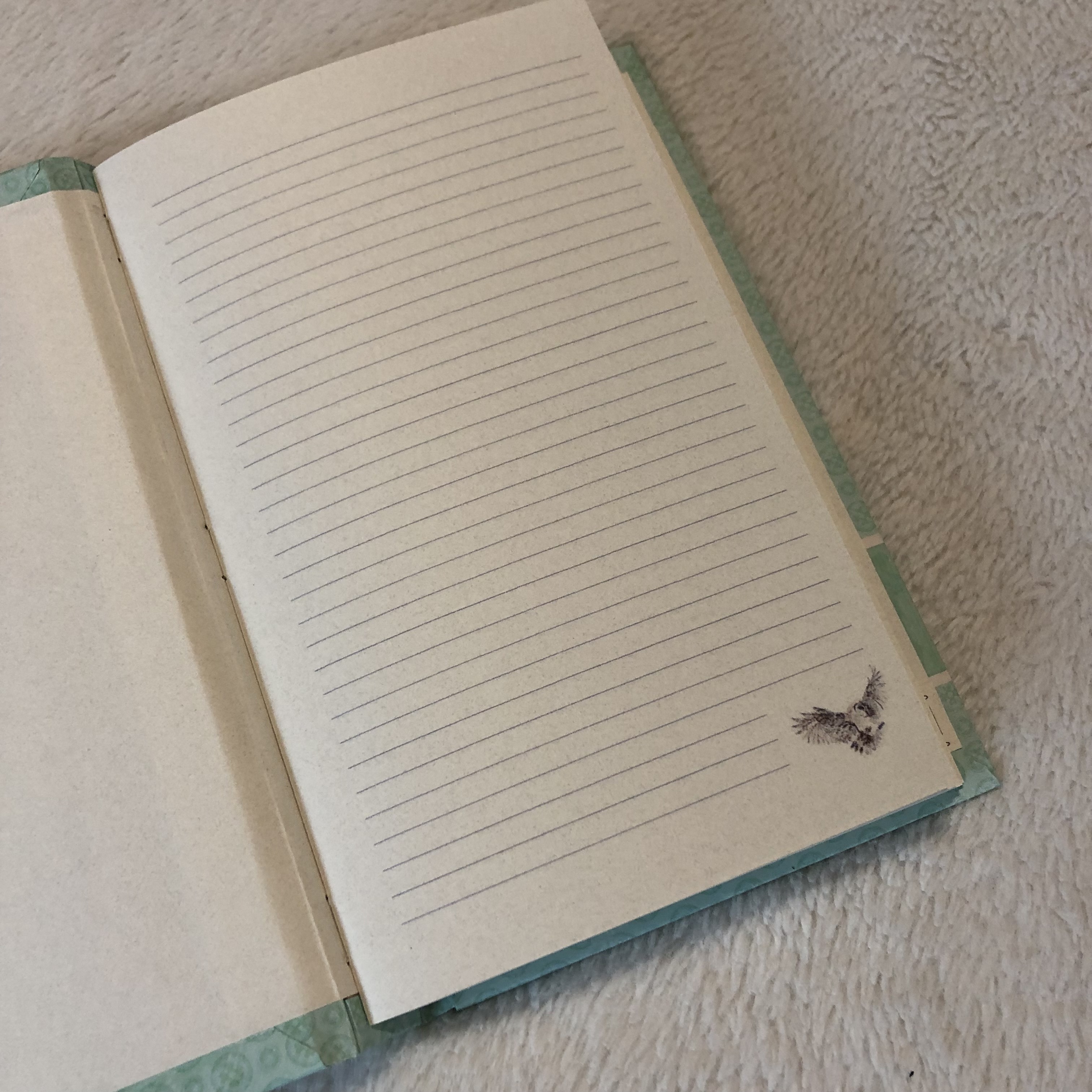 Longstitch Sparrow Owl Notebook - open