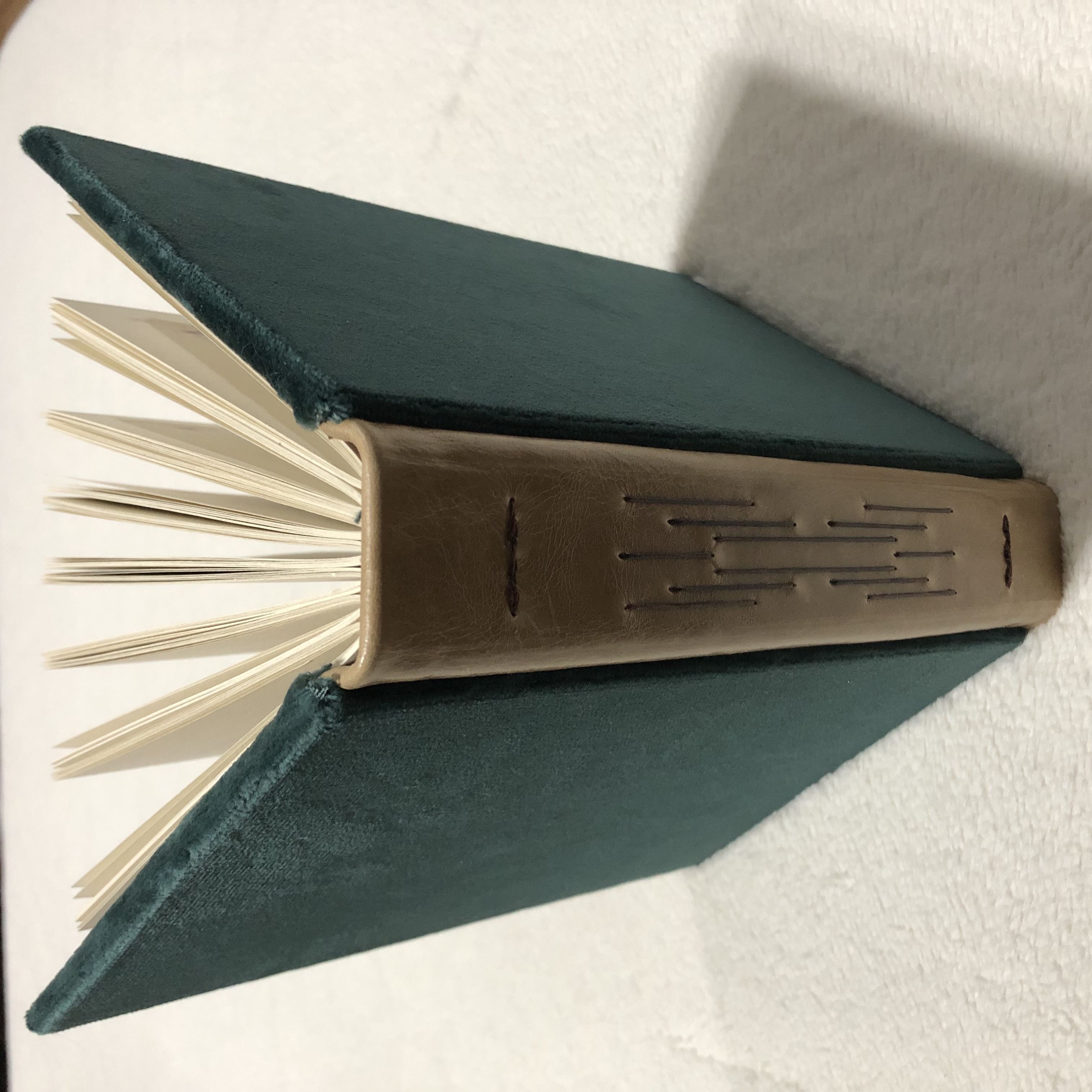 Longstitch Velvet & Leather Notebook - spine