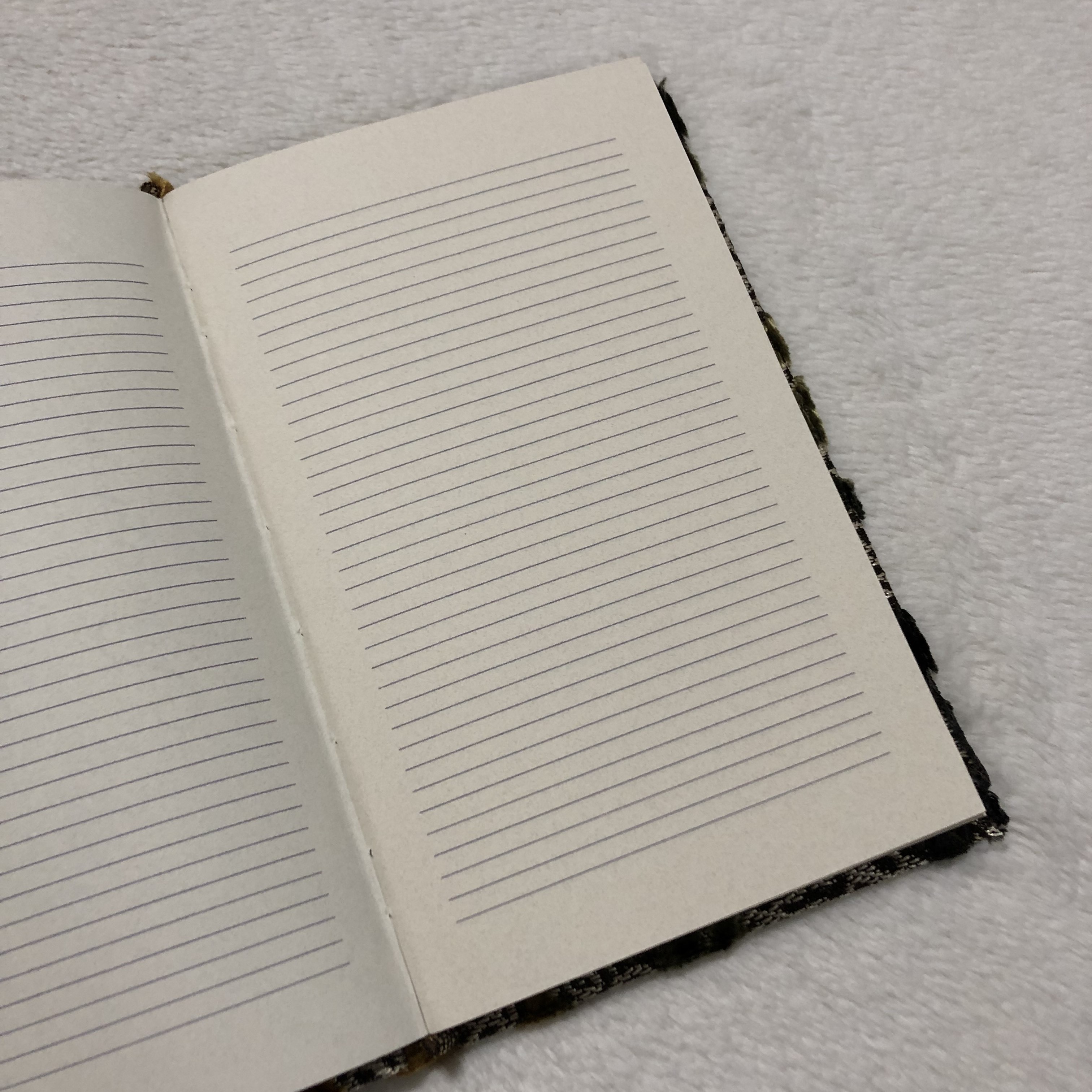 Casebound Iridescent Notebook - open