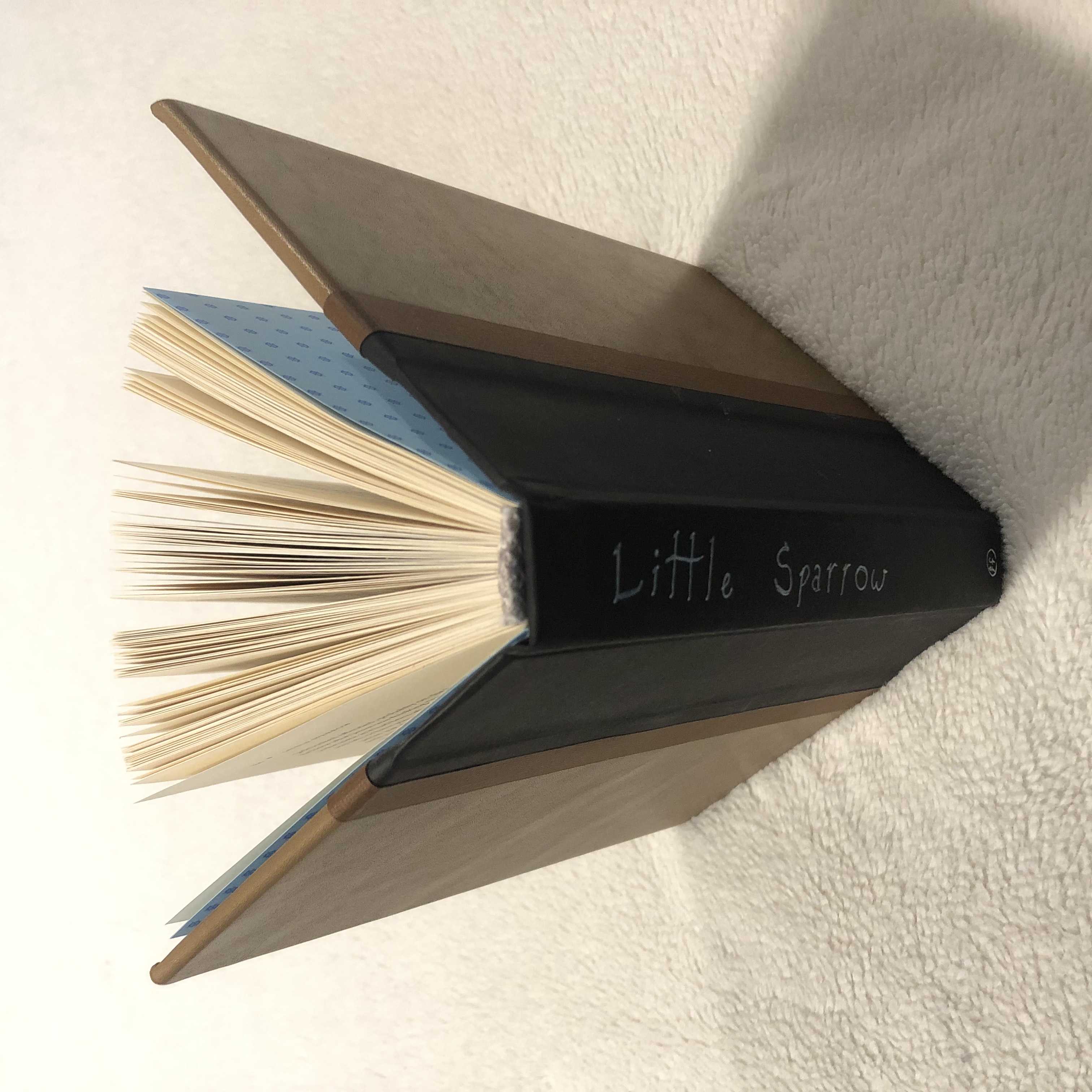 Little Sparrow - back