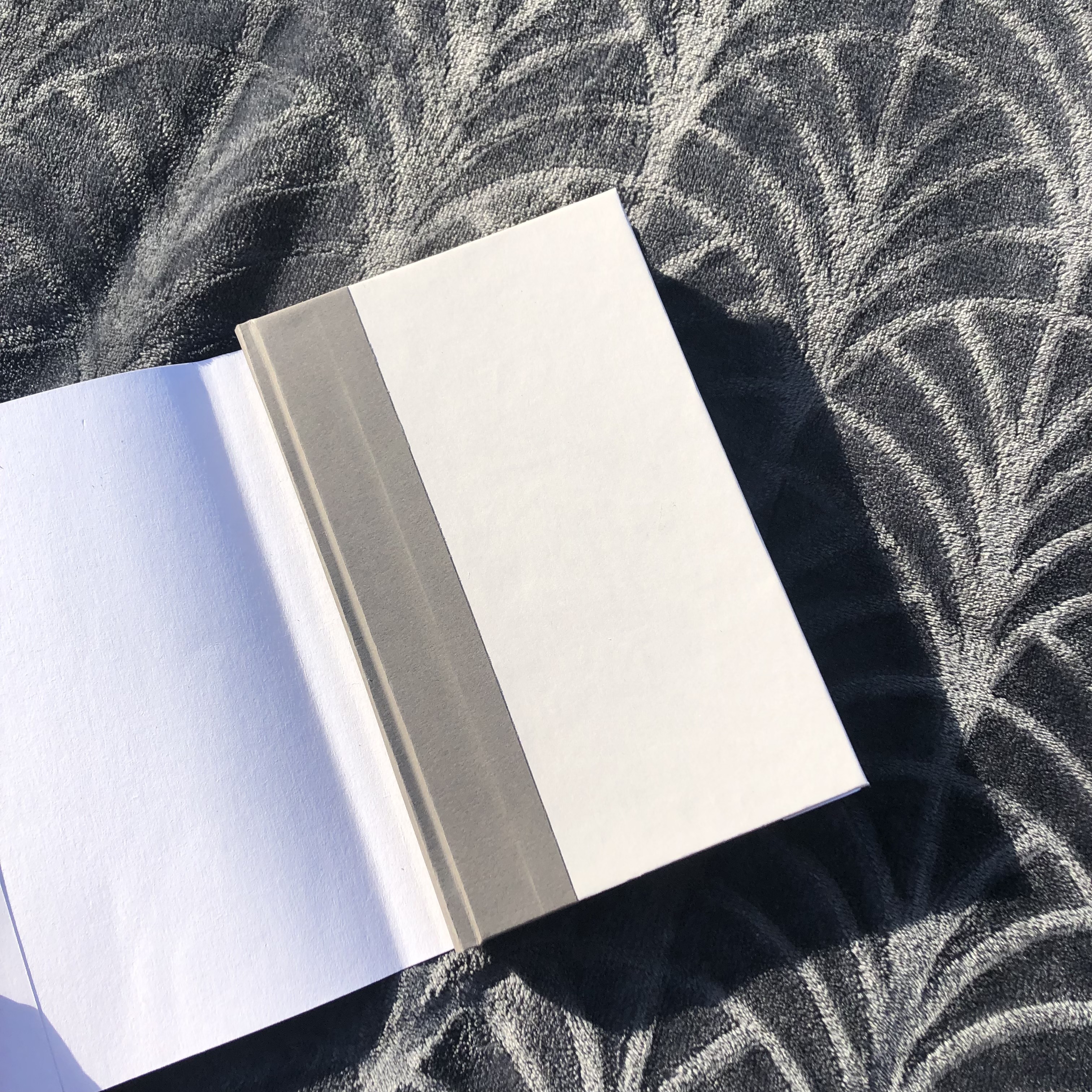 Philosopher’s Stone - front without dust jacket