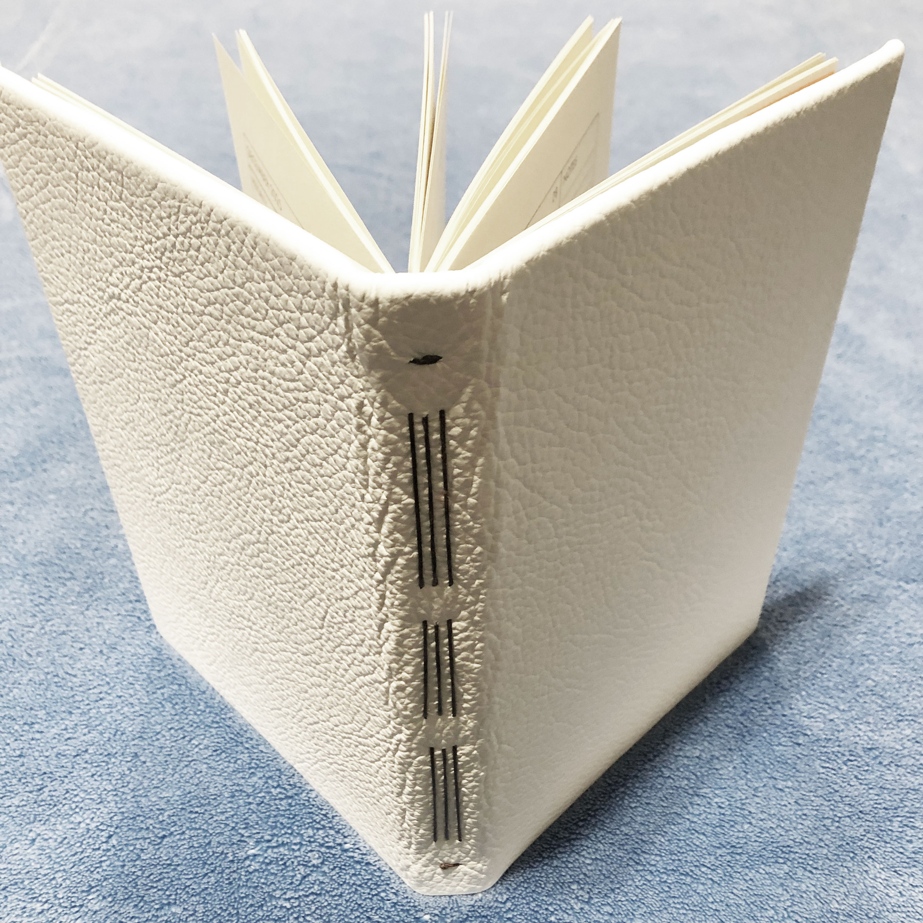 Longstitch White Leather 2025 Planner - spine